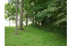Property photo 13 - 160 Acres Offered in 6 Tracts